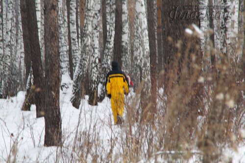 Прогулка с элементами ОФП